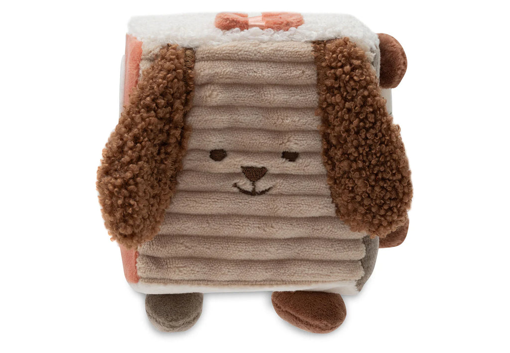 Activity cube - Animal Friends