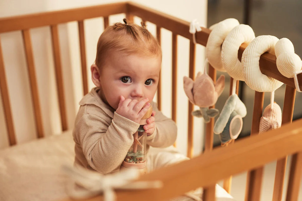 Activity Spiral - Lovely Birds