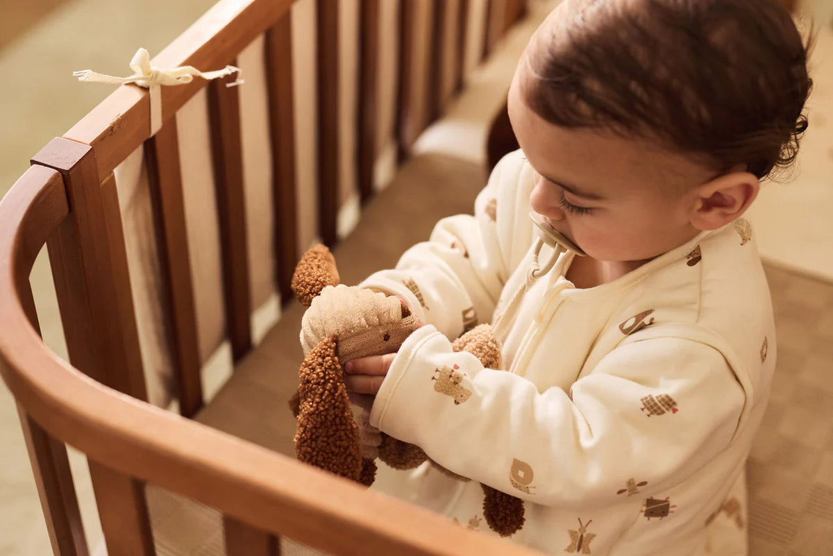 Pacifier Cloth - Animal Friends - Diego