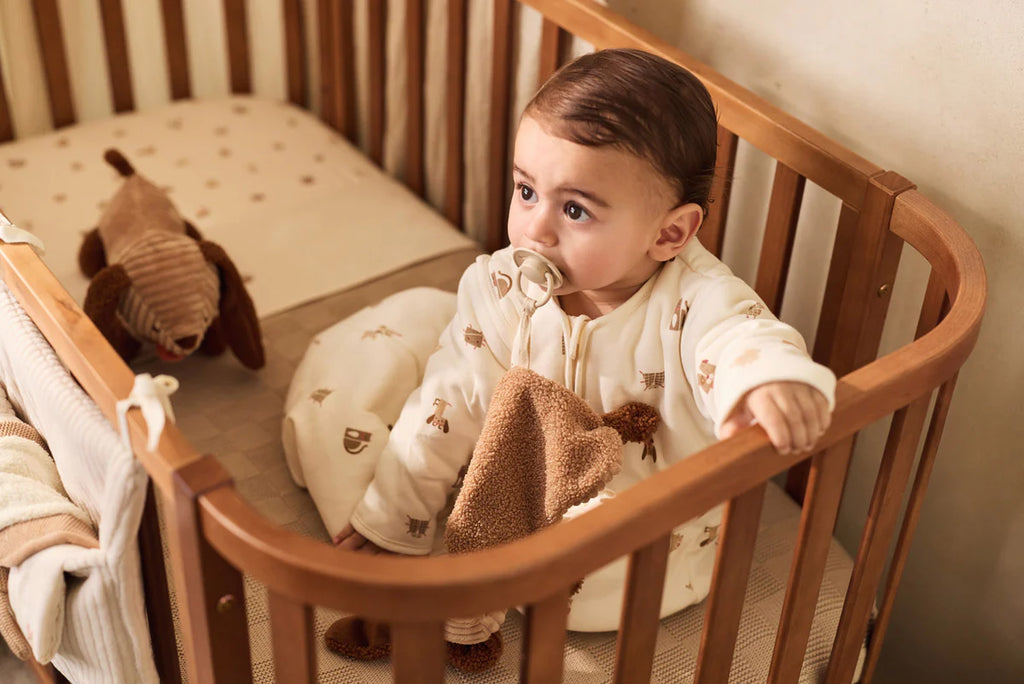 Pacifier Cloth - Animal Friends - Diego