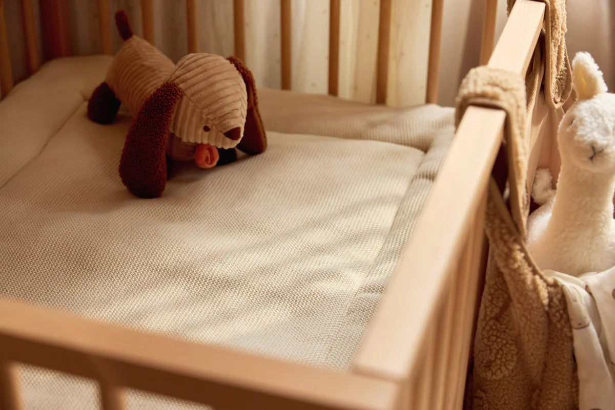 Stuffed Animal Diego Dog