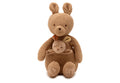Stuffed Animal Kangaroo