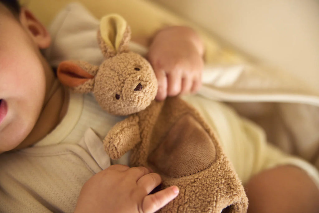 Pacifier Cloth - Kangaroo